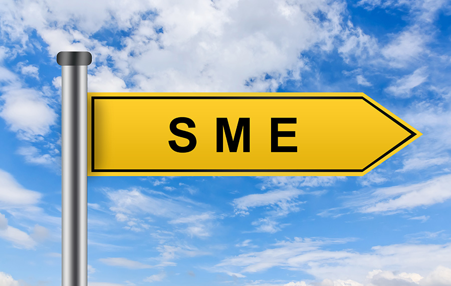 ECHA: Company size declaration (SME)