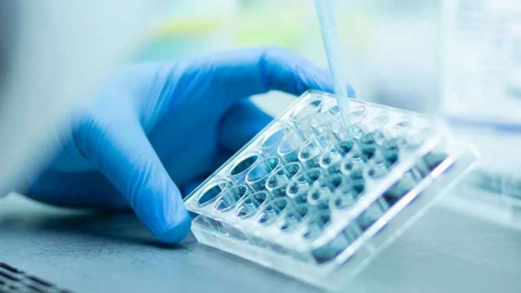 EFPIA and ECHA: more data for the developing of alternative animal testing methods