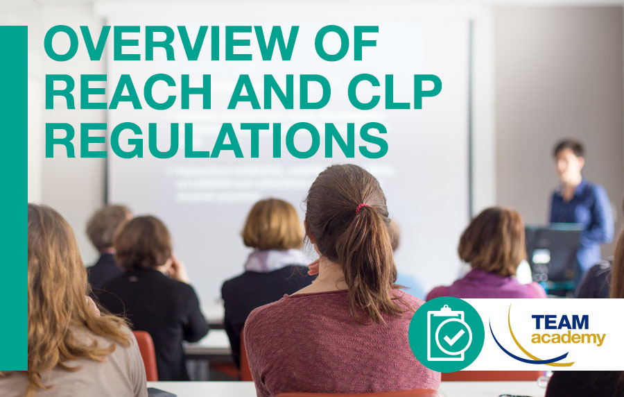 1 October 2024: Overview of REACH and CLP regulations