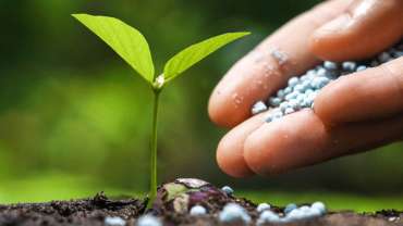 Fertilizers: Update and Reorganization of the Discipline