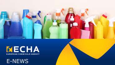 Focus on products sold online: new EU chemicals enforcement project