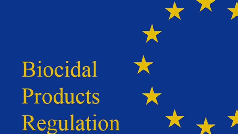 Enforcement Forum: Biocidal Product Regulation Subgroup (BPRS)
