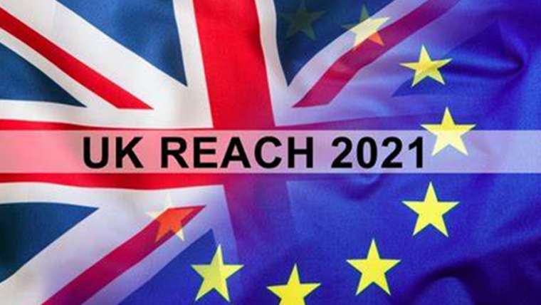 Dichiarazione sul modello alternativo di registrazione transitoria del REACH del Regno Unito