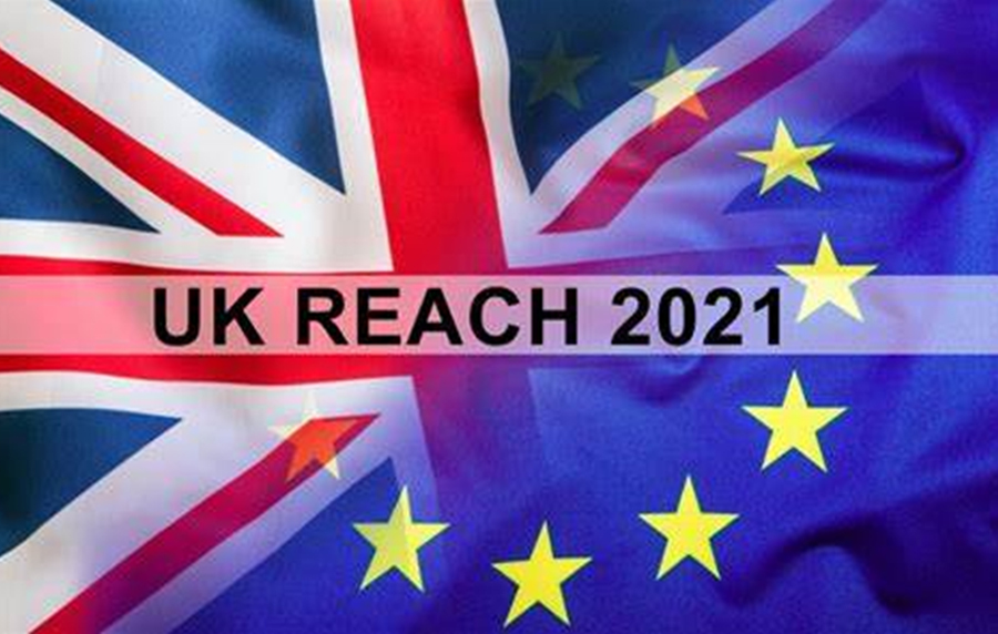 Dichiarazione sul modello alternativo di registrazione transitoria del REACH del Regno Unito